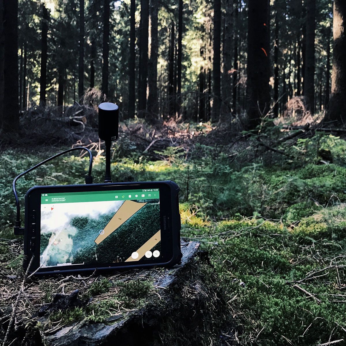 Tablet mit digitaler Forstkarte auf einem Baumstumpf im Wald