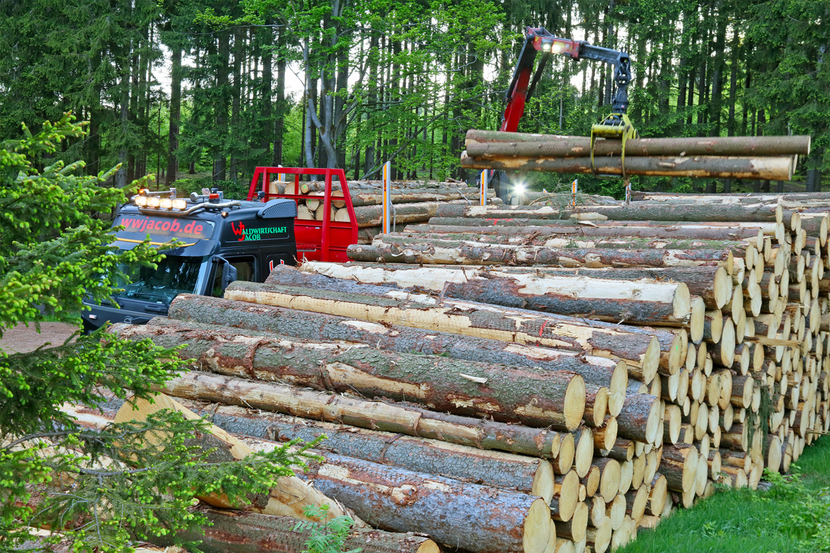 Kurzholz-Polter an der Waldstraße mit Ladekran