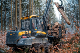 Brennholz-Polter am Waldweg